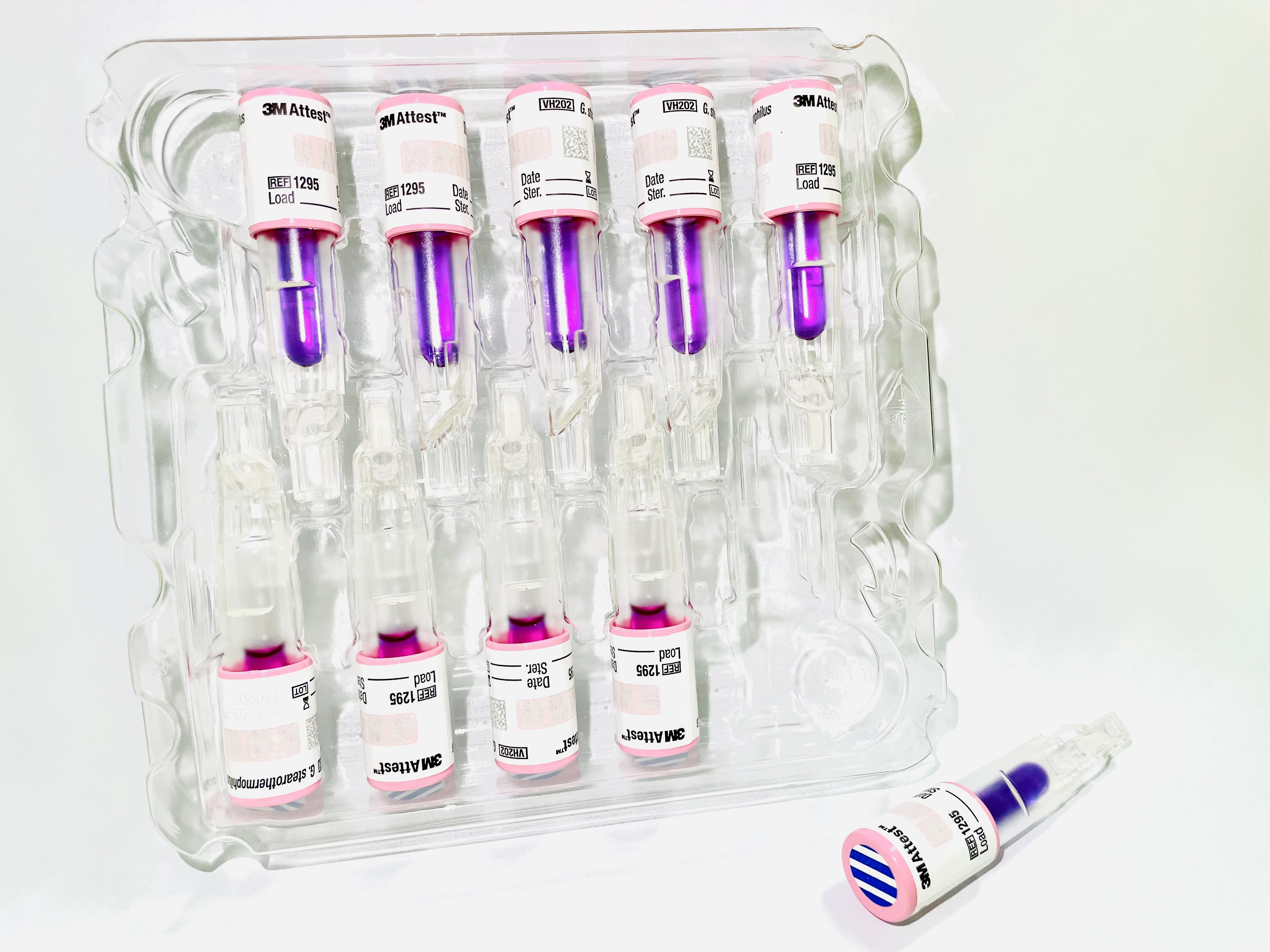 Plasma Biological Indicator